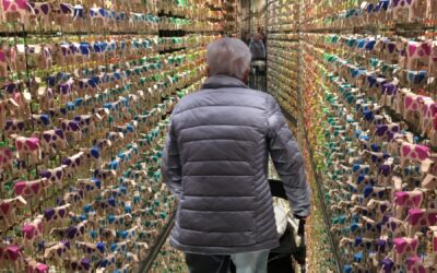 Ausflug Trauffer Erlebniswelt